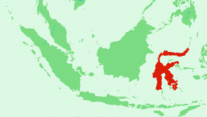 Proses terbentuknya pulau sulawesi