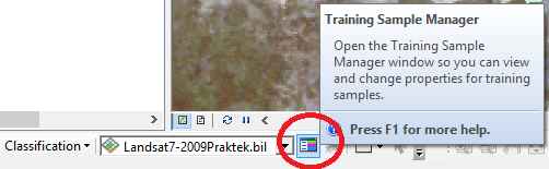 training sample manager di arcgis