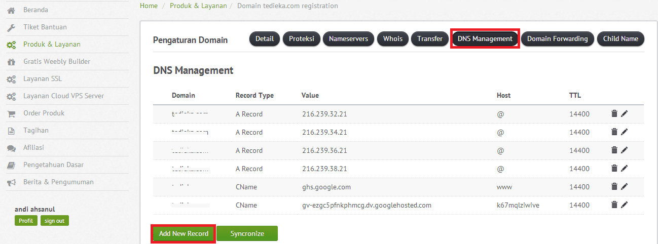 dns management