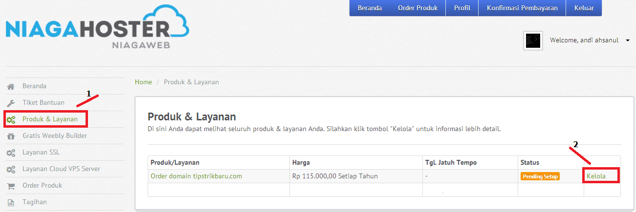 cara mengubah bogspot.com dengan domain sendiri