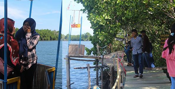 Foto wisata mangrove banua pangka