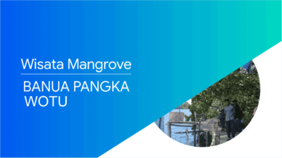 Wisata Baru Hutan Mangrove Banua Pangka di Wotu Luwu Timur yang Lagi Ngetren