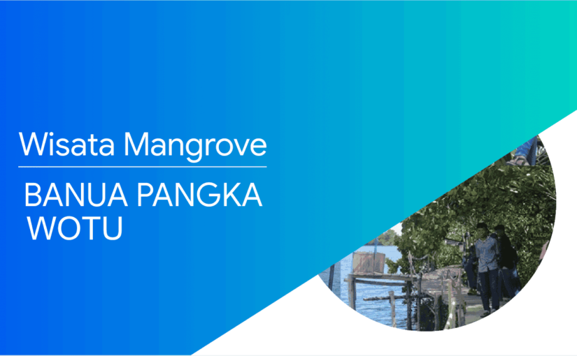 Wisata Baru Hutan Mangrove Banua Pangka di Wotu Luwu Timur yang Lagi Ngetren