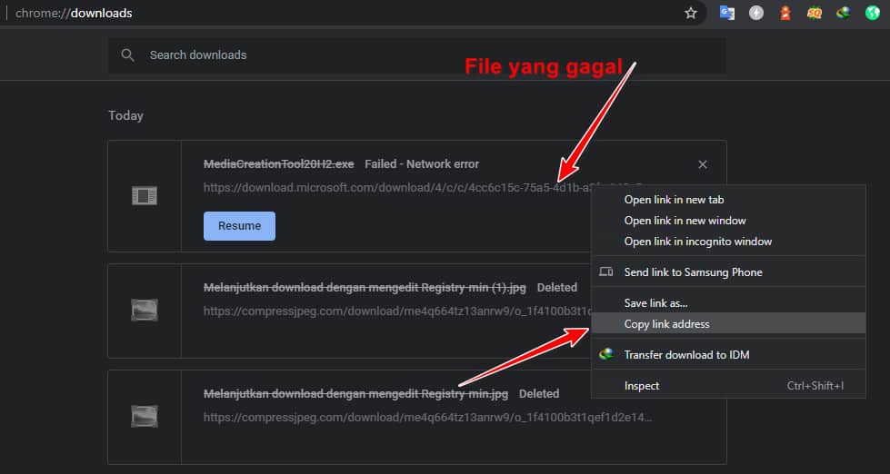 Copy url file yang gagal terdownload