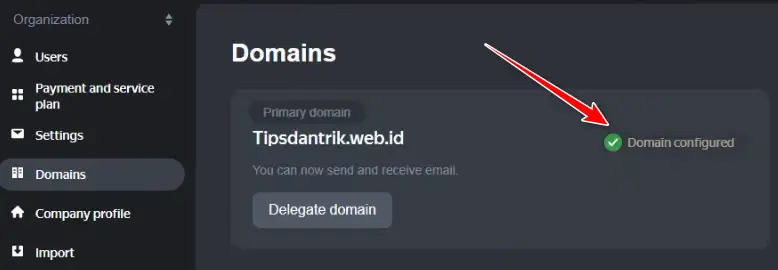 Domain tersambung dengan yandex mail