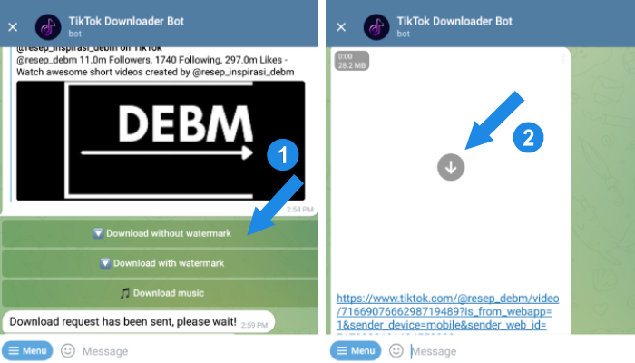 download video tiktok without watermark dari bot telegram