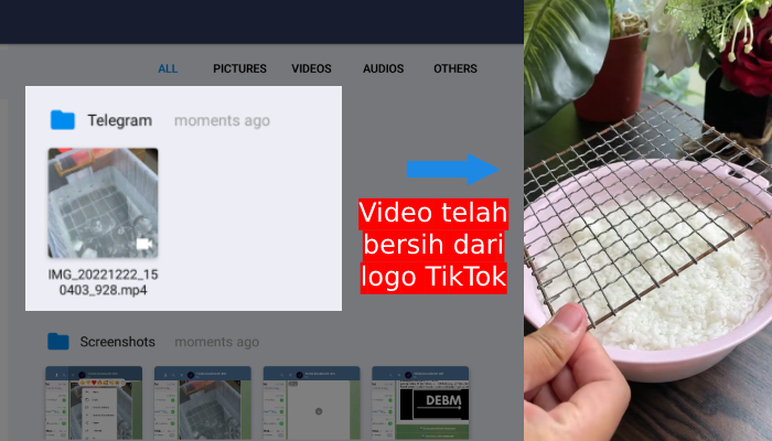 video dari bot telegram telah bersih dari logo tiktok