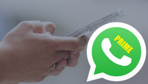 whatsapp prime