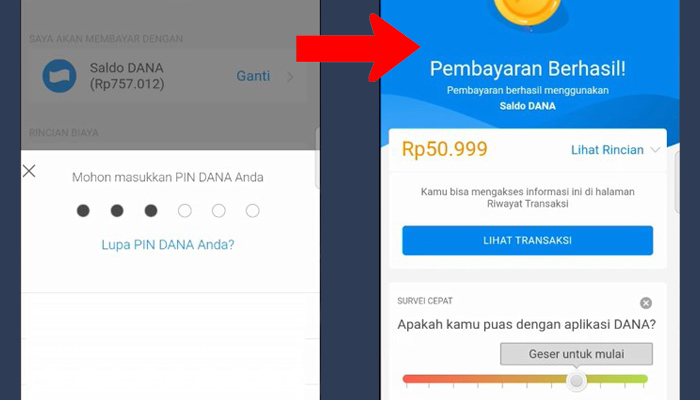 Dana PIN - Transfer Berhasil