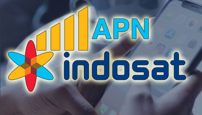 apn indosat