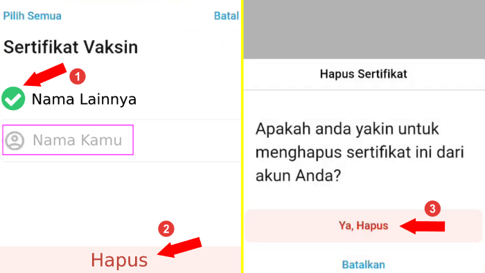 konfirmasi penghapusan sertifikat akun lain