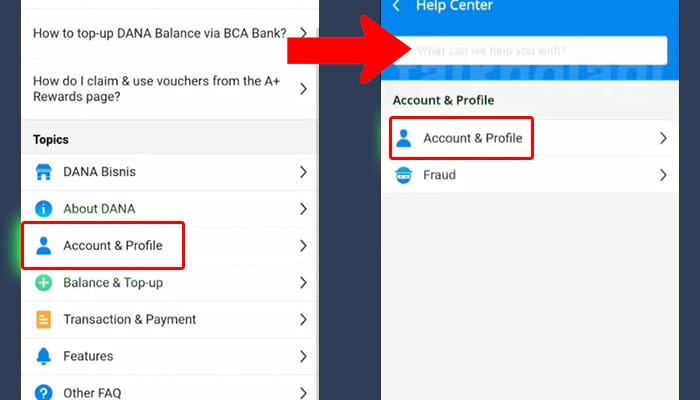 dana account & profile - account & profile