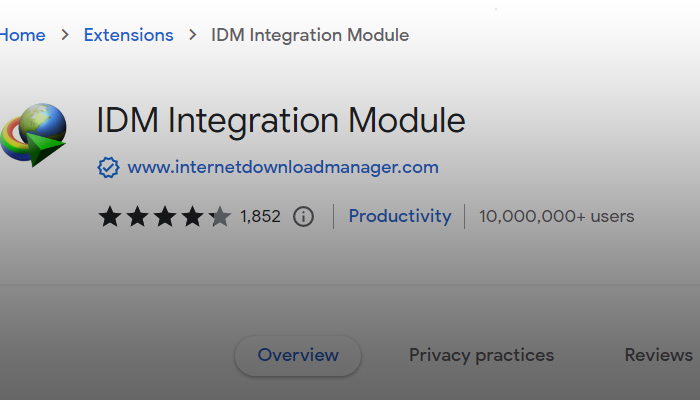 internet download manager extension