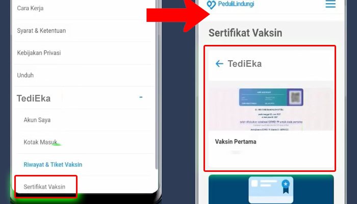 pedulindungi sertifikat vaksin - vaksin pertama