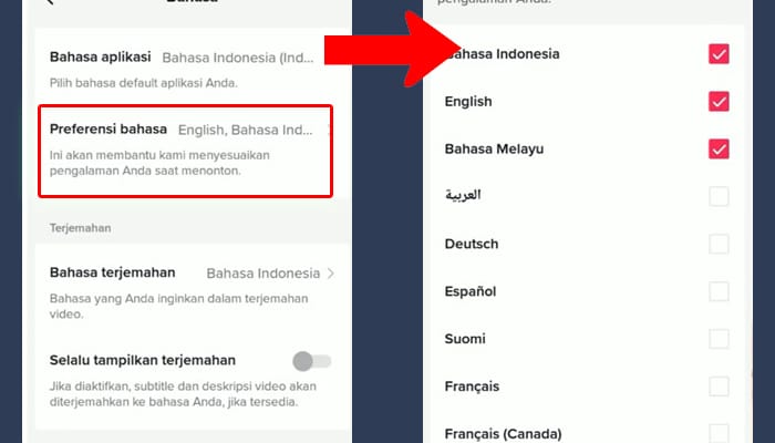 tiktok preferensi bahasa - pilih bahasa