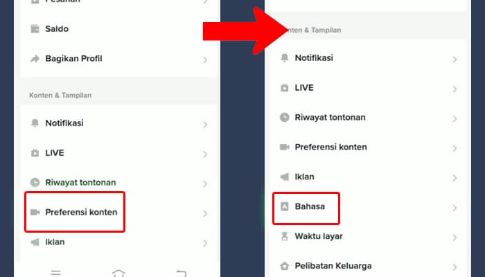 tiktok preferensi konten - bahasa