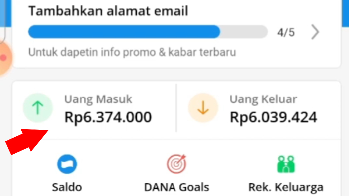 data uang masuk uang keluar di aplikasi dana