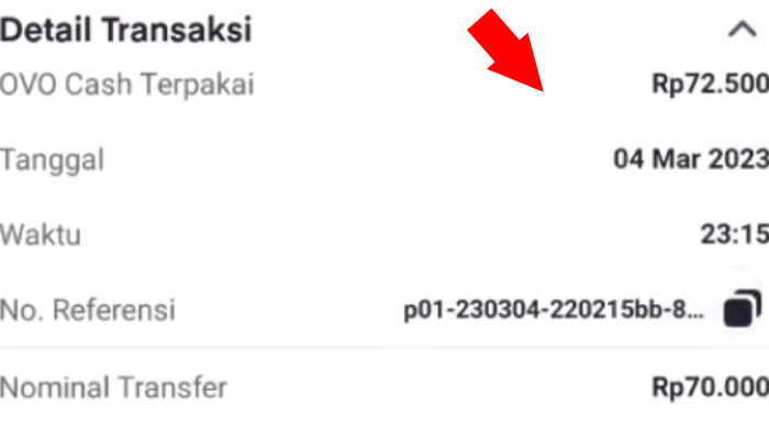 detail transaksi ovo ke dana