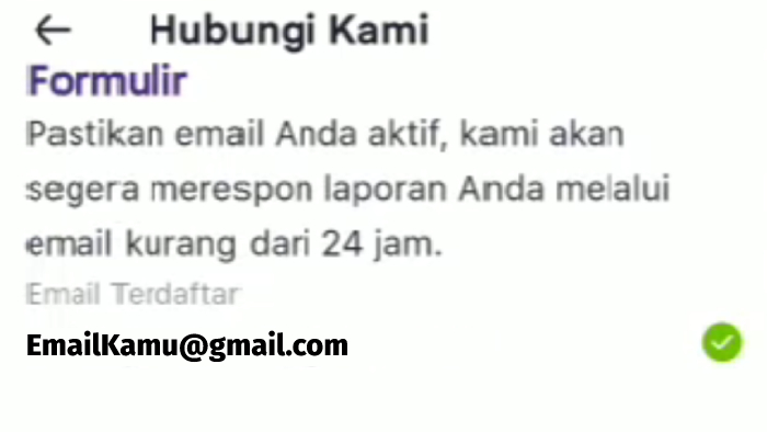 halaman hubungi kami via email di aplikasi ovo