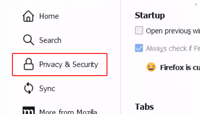 mozilla firefox privacy and security