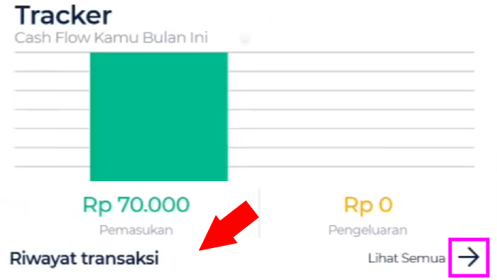 tracker cash flow dan riwayat transaksi blu bca