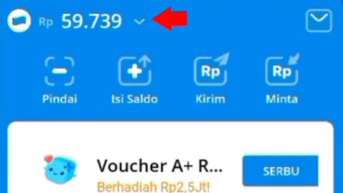 cek saldo awal rekening dana