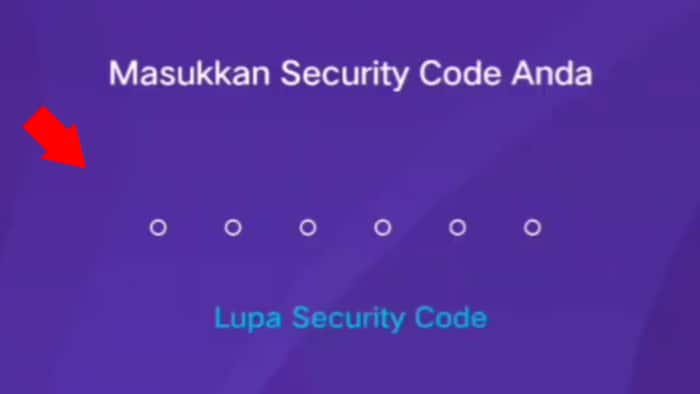 input pin dengan benar untuk login ke ovo