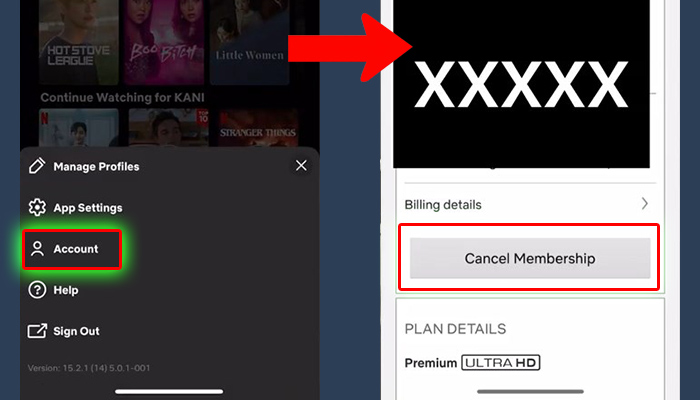 netflix account - cancel membership