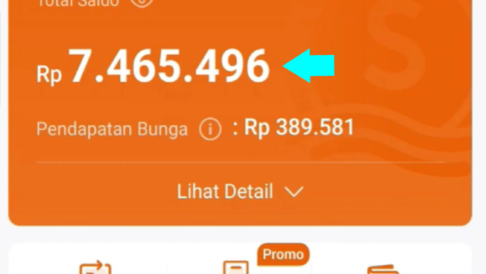 saldo masuk ke rekening seabank dari qiosfin