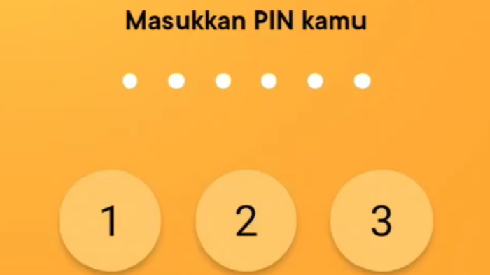 input pin bank jago