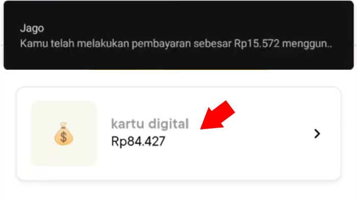 saldo di kartu digital bank jago terpotong oleh verifikasi paypal