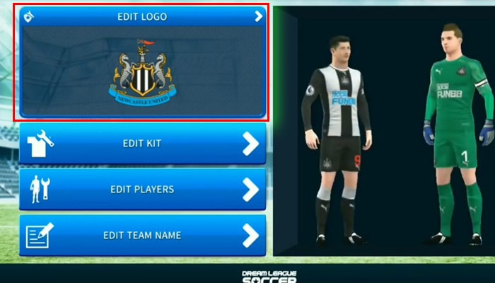 Dream League Soccer Edit Logo