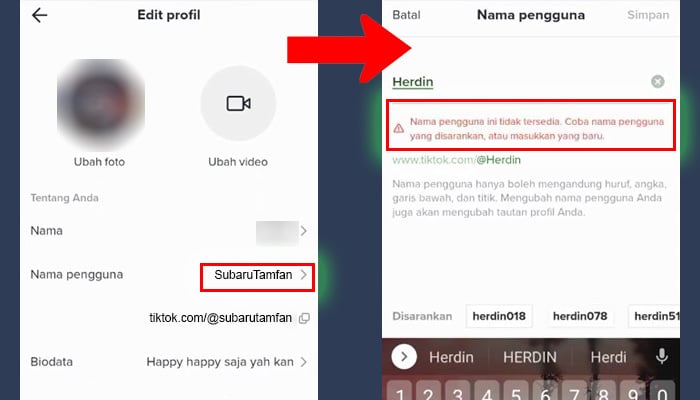 tiktok nama pengguna - masukan nama pengguna