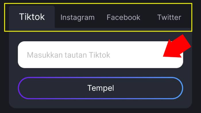 Cara Download Video TikTok di Android dengan Aplikasi Snaptik TT Video Downloader Apk