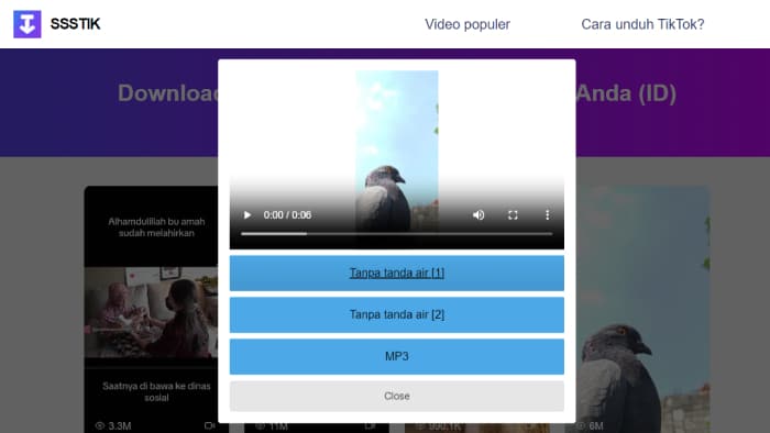 cara download video populer di ssstik io