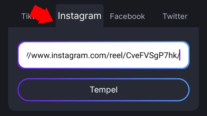 tab instagram snaptik