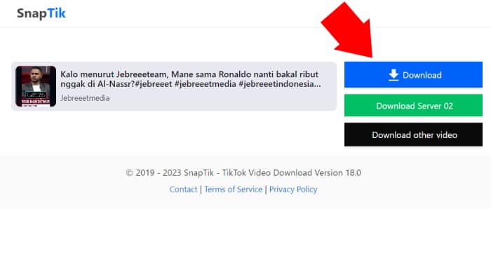 tekan tombol download warna biru atau download server 02 untuk menyimpan video tiktok dari snaptik