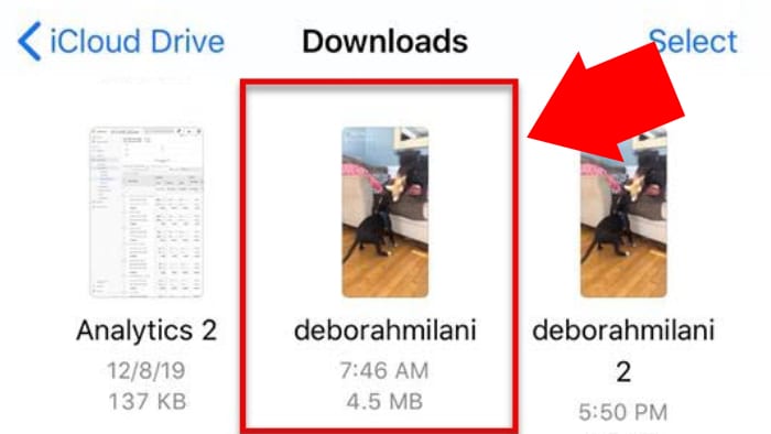 video tiktok telah tersimpan di folder downloads