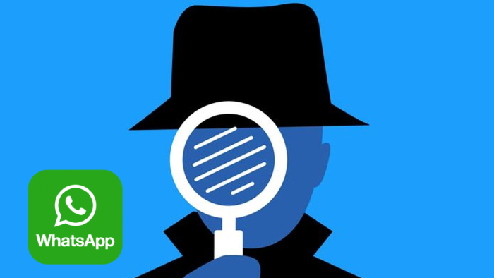 apakah social spy whatsapp berhasil