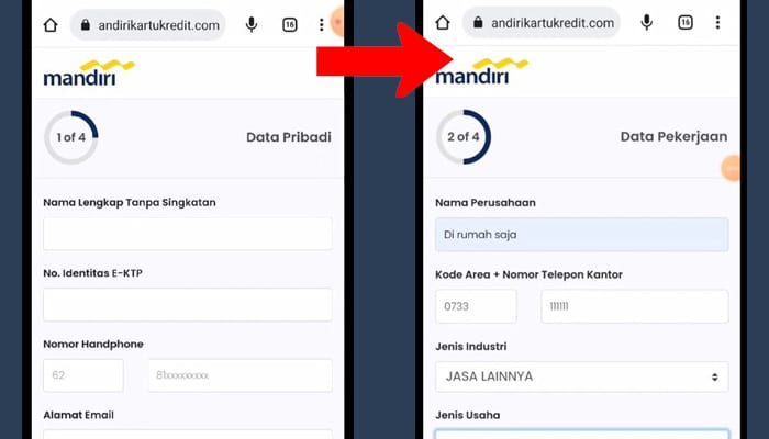 kartu kredit mandiri data pribadi - data pekerjaan