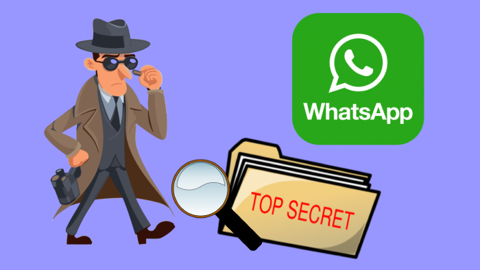 Social Spy Whatsapp