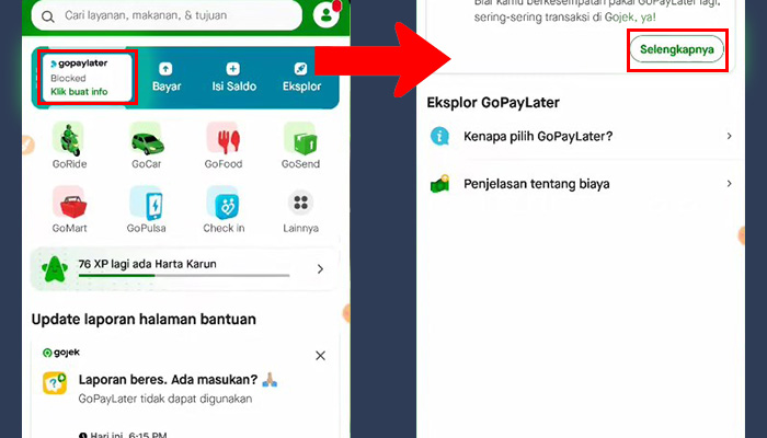 gopay gopaypaylater - selengkapnya