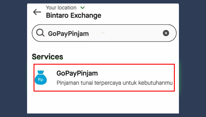 gopay gopaypinjam