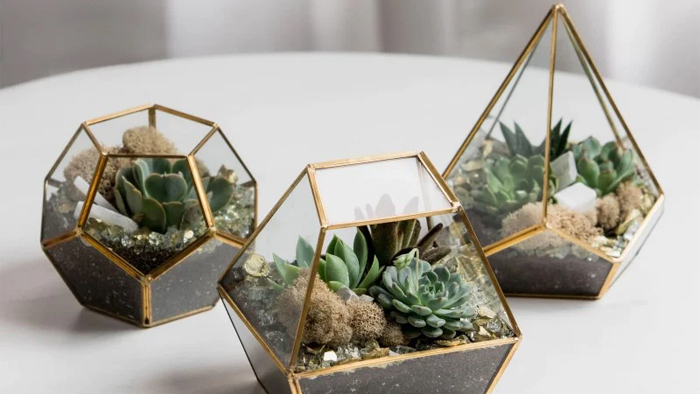 souvenir terrarium mewah