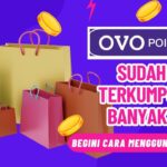 OVO Points