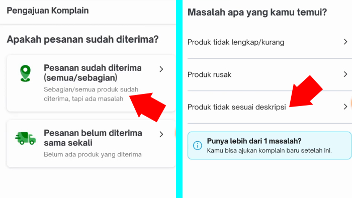 pengajuan komplain dan menginformasikan masalah apa yang kamu temui