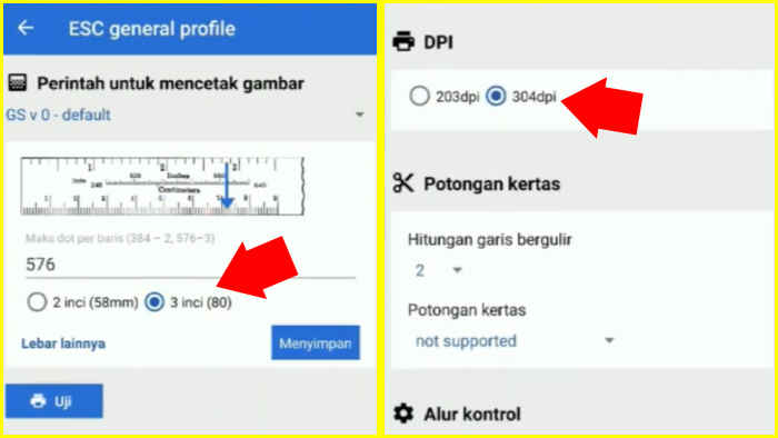 halaman esc general profile pilih 3 inci 80 dan dpi 304