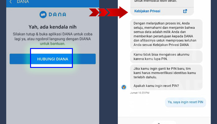 dana hubungi dana - live chat reset pin