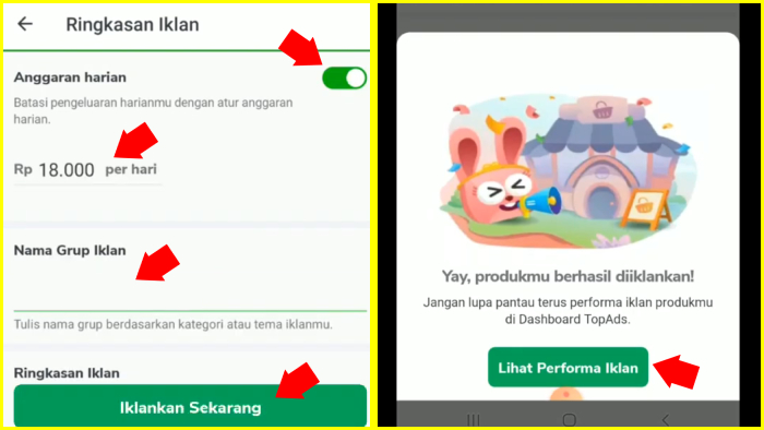 tentukan anggaran harian nama grup iklan lalu lihat performa iklan tokopediamu