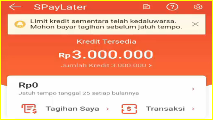 contoh kredit tersedia spaylater